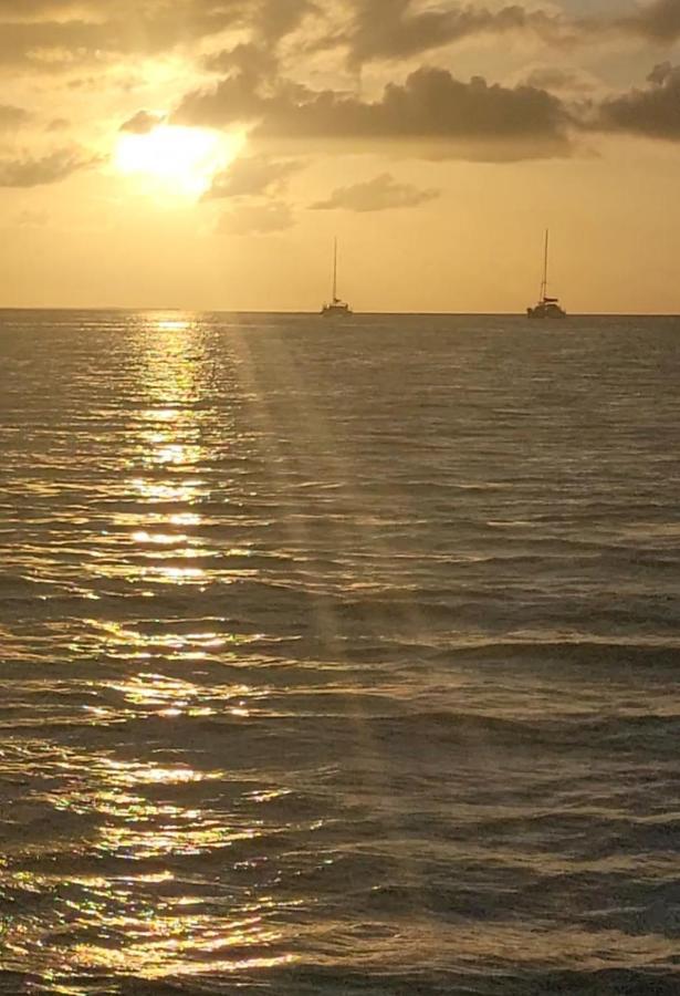 Island Magic Beach Resort Caye Caulker Eksteriør bilde
