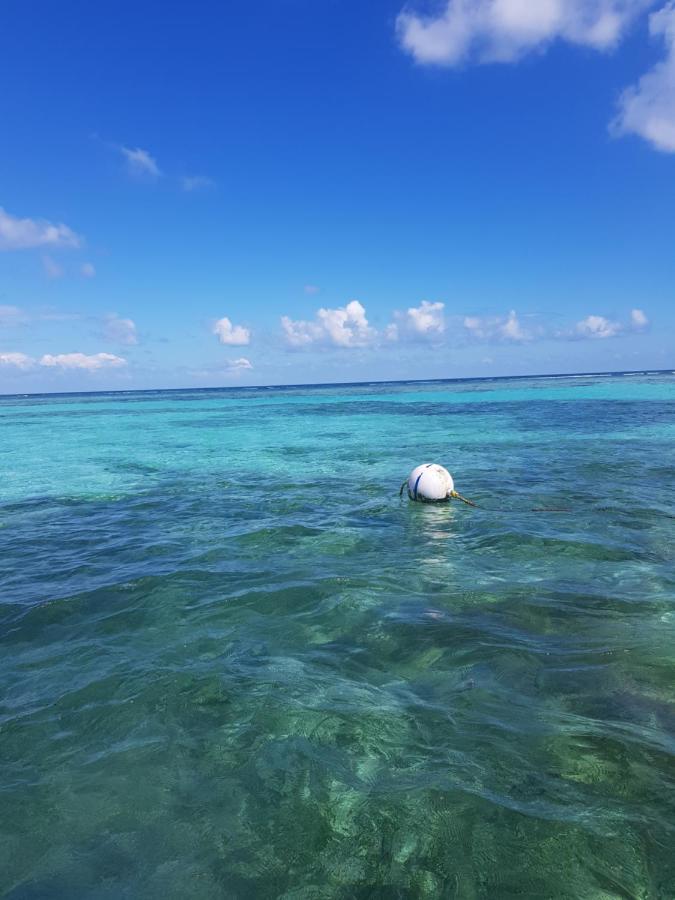 Island Magic Beach Resort Caye Caulker Eksteriør bilde